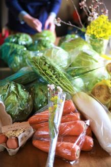 【定期便】「島のめぐみ」セット～南あわじ旬の食材～【3回コース】