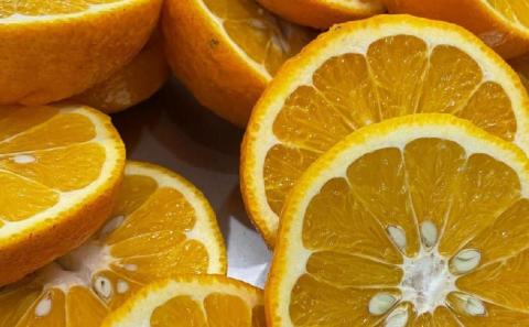 淡路島ジェラート12個セット