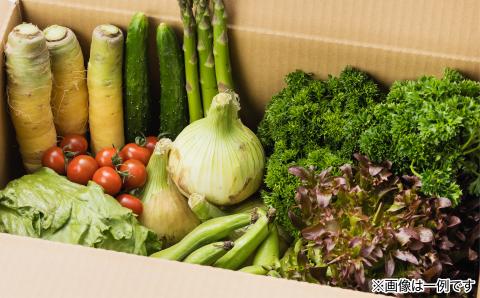 【美菜恋来屋】ほんまもん淡路島野菜BOX（小）