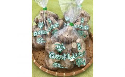 森の木しいたけはプリプリの食感とジューシーな風味が特徴です。 【森の木ファーム】淡路島産の菌床生椎茸（しいたけ）