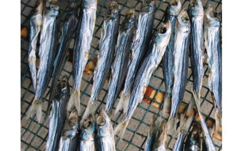 うるめ丸干130ｇ入り×3袋　「うす塩仕上げ」で無添加！！