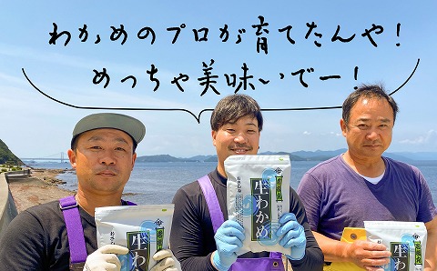 【中尾満男水産】【漁師直送】湯通し塩蔵わかめ300ｇ×7袋【淡路島鳴門海峡原産】