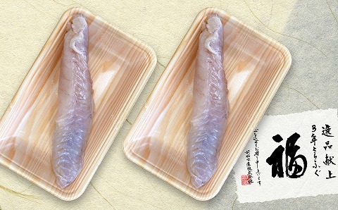 【冷蔵配送】淡路島3年とらふぐ（活上身/片身）2Pセット◆配送10月25日～3月31日