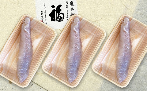 【冷蔵配送】淡路島3年とらふぐ（活上身/片身）3Pセット◆配送10月25日～3月31日