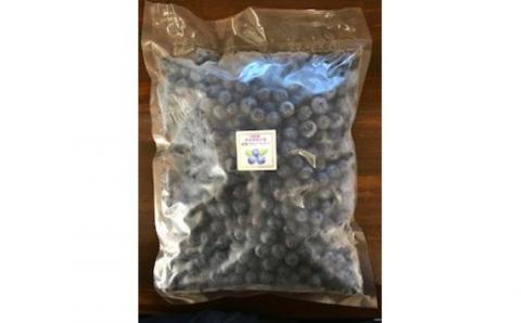 【加工に最適／冷凍】淡路島 馬回集落のブルーベリー 1kg