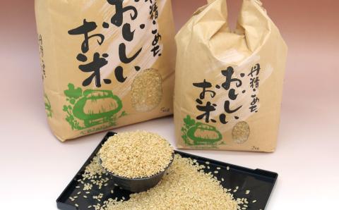 【淡路夢ファーム】　コシヒカリ（玄米）５キロ