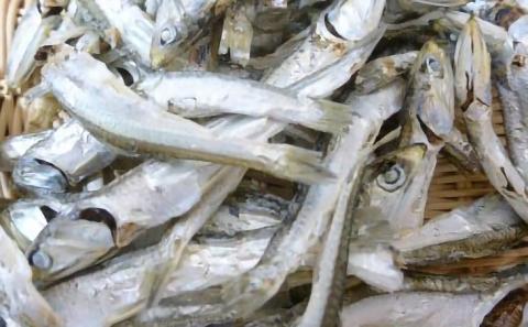 いりこ・塩わかめセット ［化粧箱入り]