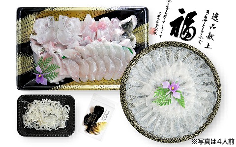 【冷蔵配送】淡路島3年とらふぐ（活てっちり・てっさ6人前）◆配送期間10月25日～3月31日