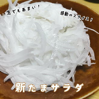 【野口ファーム】幻の冬の新たまねぎ 5kg　約15個入　◆配送12月～