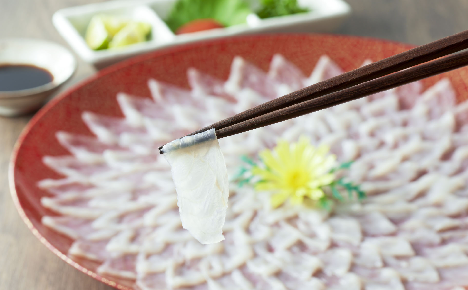 【淡路島3年とらふぐ】活てっさ(6～7人前)