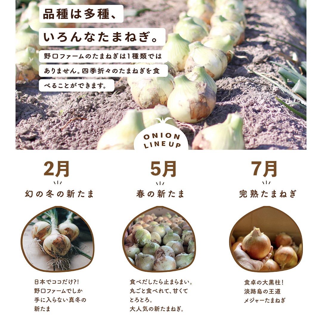 【全３回定期便】淡路島たまねぎ２kg　旬の贅沢セット！【2・5・7月発送】