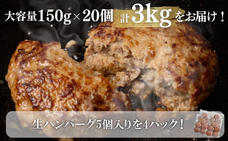 定期便「12ヶ月」淡路島玉ねぎ入れすぎハンバーグ 3kg（150ｇ×20個）冷凍