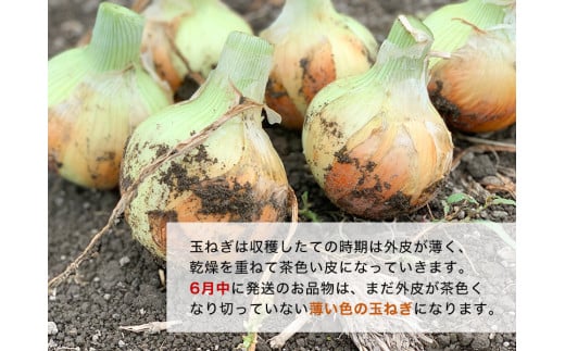 【あさひサンファーム】【３kg】兵庫県認証食品★特別栽培★淡路島たまねぎ