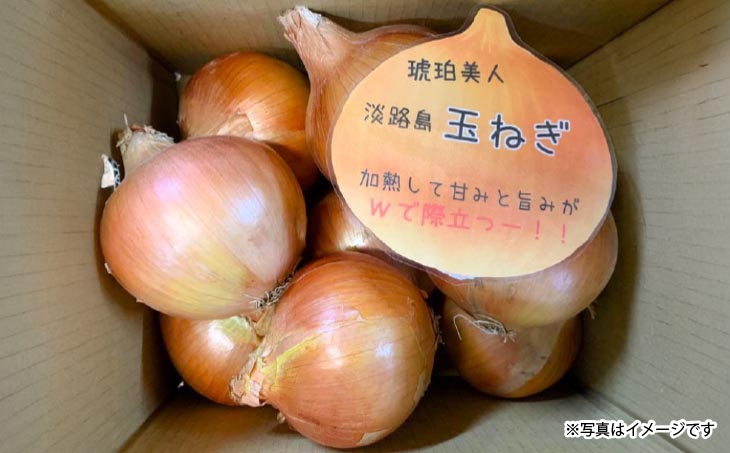 淡路島極熟玉葱2kg　シャーロットオニオン　玉ねぎ大国淡路島からの玉ねぎ