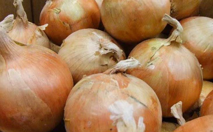 淡路島産玉ねぎ 10kg　◆配送令和8年5月中旬～