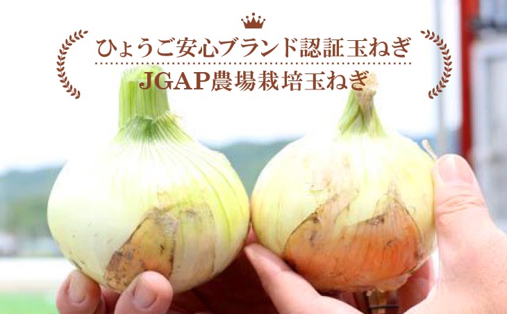 淡路島産玉葱　うずしお追熟甘玉ねぎ　10kg