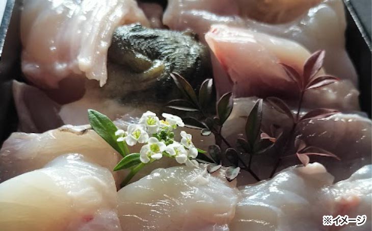 熟成とらふぐ【冬の王】(四人前)　配送：2月28日まで