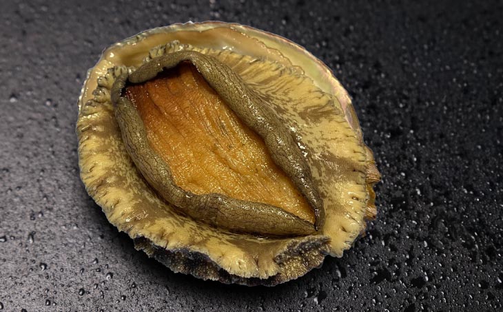 【花光】淡路島産天然アワビ（赤）大サイズ1個