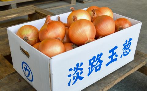 【淡路島の青果屋】淡路島産たまねぎ　5kg 甘さに自信!!ほんまもん!!