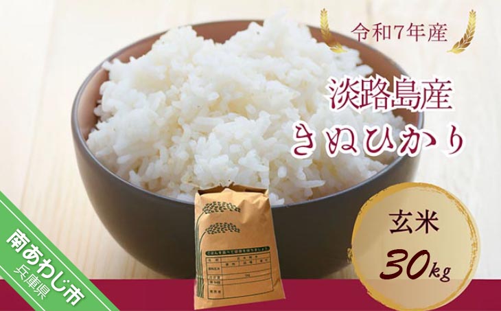令和7年産新米　淡路島産キヌヒカリ　玄米30㎏