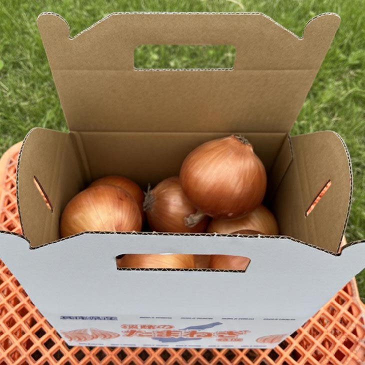 【淡路島玉ねぎ・サイズ混合】三世代で紡ぐ味淡路島の玉ねぎ 5Kg◆配送6月上旬～8月中旬