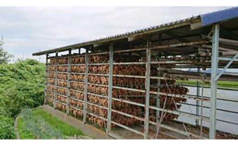 淡路島の農家の嫁から「完熟玉ねぎ 晩生 ５㎏」◆配送6月中旬～