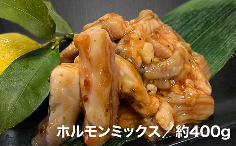 【数量限定】垣牧場直売「淡路姫和牛」BBQセット（750g）＋ホルモンミックス（400g）