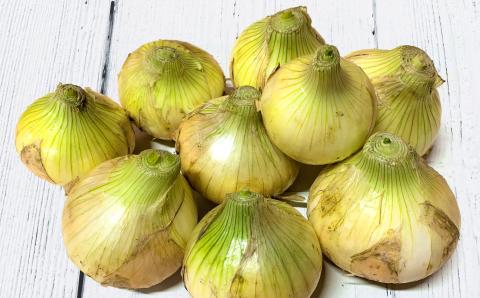 【新玉ねぎ】ひょうご安心ブランド認証 特別栽培の玉ねぎ「戎珠（えびすたま）」 １０kg