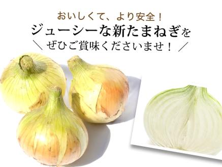 【大玉５㎏】兵庫県認証★特別栽培★淡路島新たまねぎ