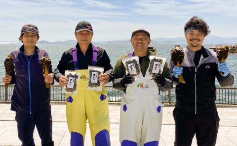 【漁師直送】天日干しめかぶ30ｇ×7袋【淡路島鳴門海峡原産】