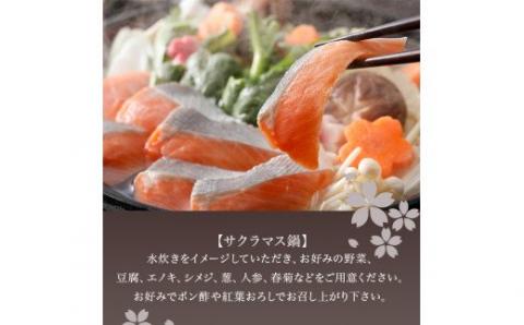 【若男水産】淡路島サクラマス　お鍋と丼の贅沢セット（3～4人前）