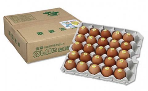 淡路放し飼いたまご　50コ入り