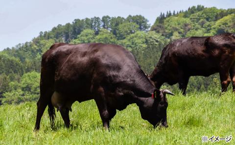 やみつき玉ねぎの淡路牛100％チーズINハンバーグ150ｇ×10個（冷凍）