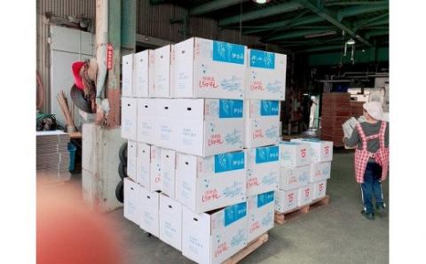 南あわじ市にある湊港で水揚げされた、味の濃いのしらす干しです。 淡路島のふっくらやわらかい「釜揚げしらす干し」 1㎏入り×12個 合計12㎏