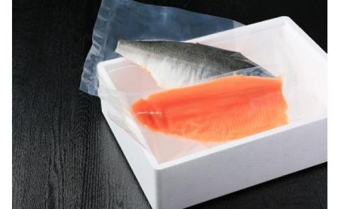 【極上とろける食感！淡路島サクラマス／冷凍】淡路島で育ったサーモン600g