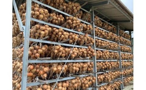 淡路島極熟玉葱5kg　シャーロットオニオン　玉ねぎ大国淡路島からの玉ねぎ