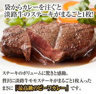 淡路牛ステーキカレー（中辛・250g）×10食セット