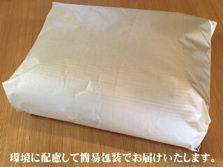 【浅井ふとん店】イス専用座布団『台形ちゃん』/グリーン