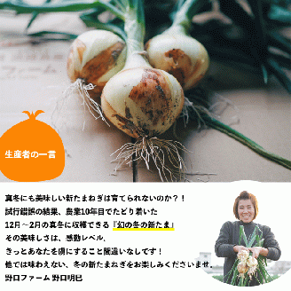 【野口ファーム】幻の冬の新たまねぎ 5kg　約15個入　◆配送12月～