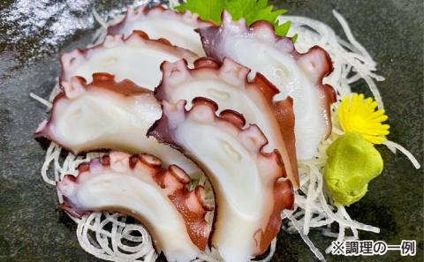 【花光】淡路島のボイルマダコ（丸ごと1匹）【冷凍】