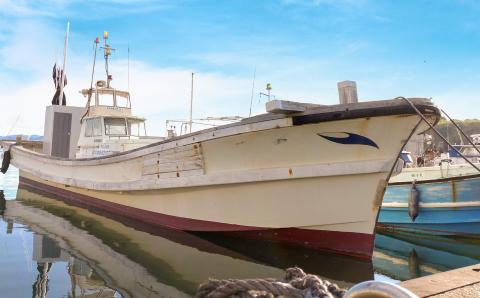 【淡路島丸山港発】釣り船 若松丸 乗船券(チャーター券 8名様まで)