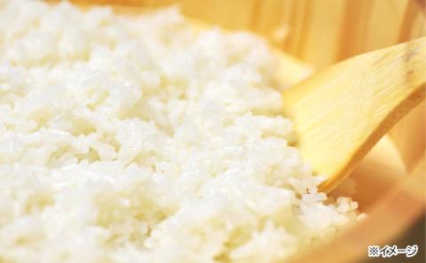 令和７年度産 新米 淡路島産「橙心(きぬひかり)」　玄米3kg　◆配送9月下旬～