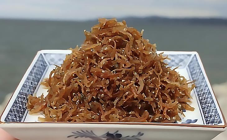 【ご自宅用】淡路島名産　生炊き山椒ちりめん