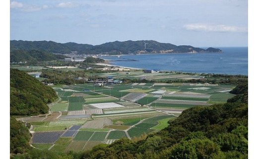 【新玉予約・サイズ色々】淡路島フルーツ玉ねぎ3kg◆配送3月中旬～5月下旬