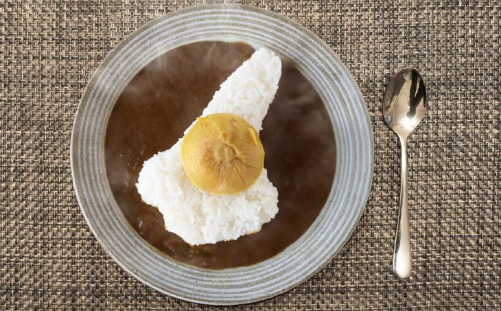 淡路島玉ねぎまるごとカレー10食セット