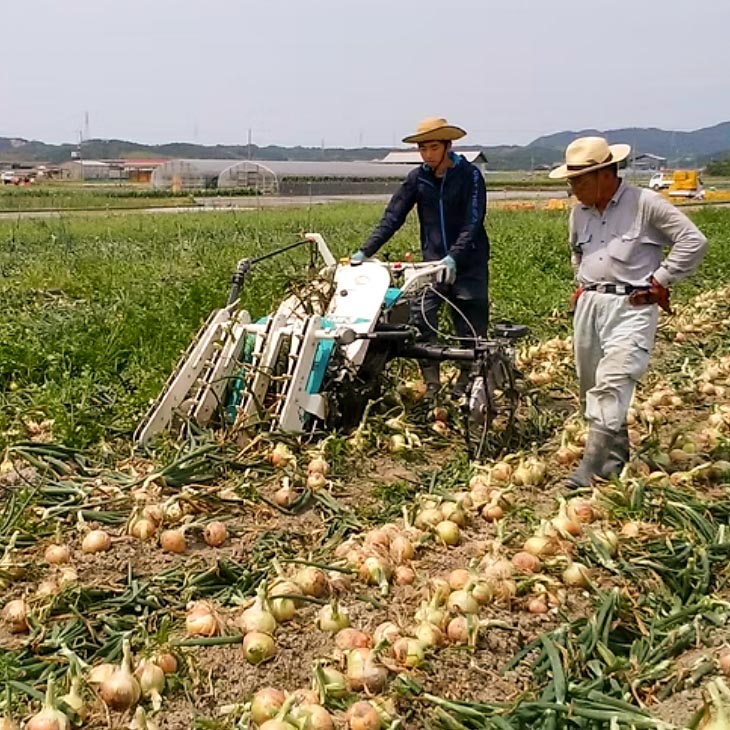 【新玉・ひょうご推奨ブランド】新玉ねぎ（淡路玉三郎）10ｋｇ ◆配送３月上旬～５月中旬