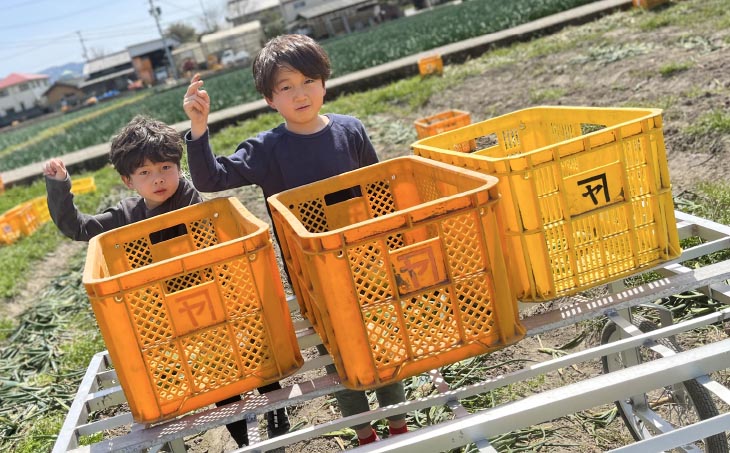 【オニオン魂】 淡路島たまねぎ　5kg　◆配送６月上旬～翌年２月末