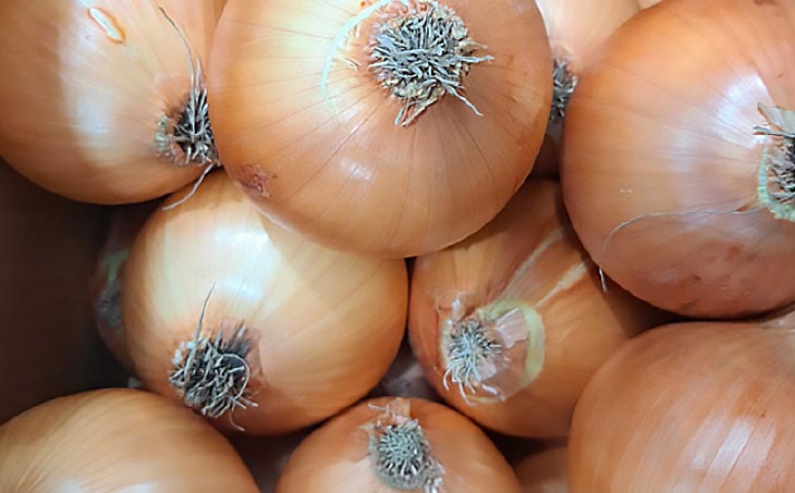 【野菜ソムリエサミット金賞】淡路島玉ねぎ5kg【仲田青果の淡路島いち玉ねぎ】◆配送６月中旬～翌年２月下旬