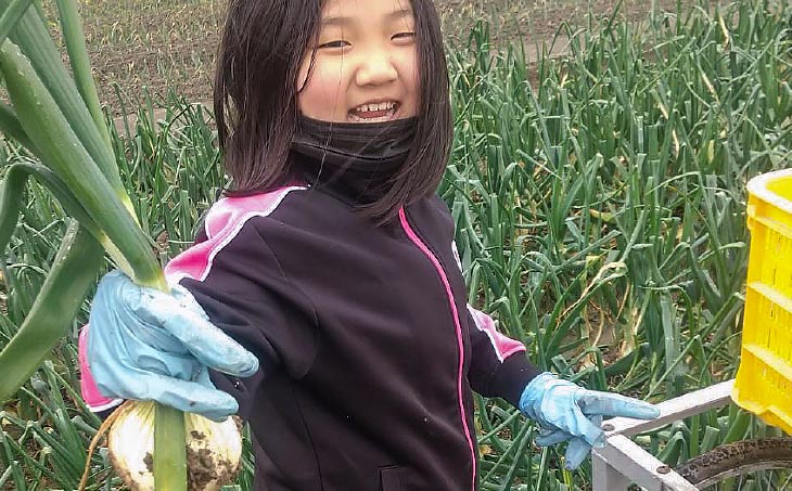 中山さんちから直送　淡路島たまねぎ10㎏