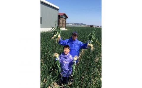 【youふぁーむ】【新玉予約】淡路島産新玉ねぎ10kg◆配送2月中旬～